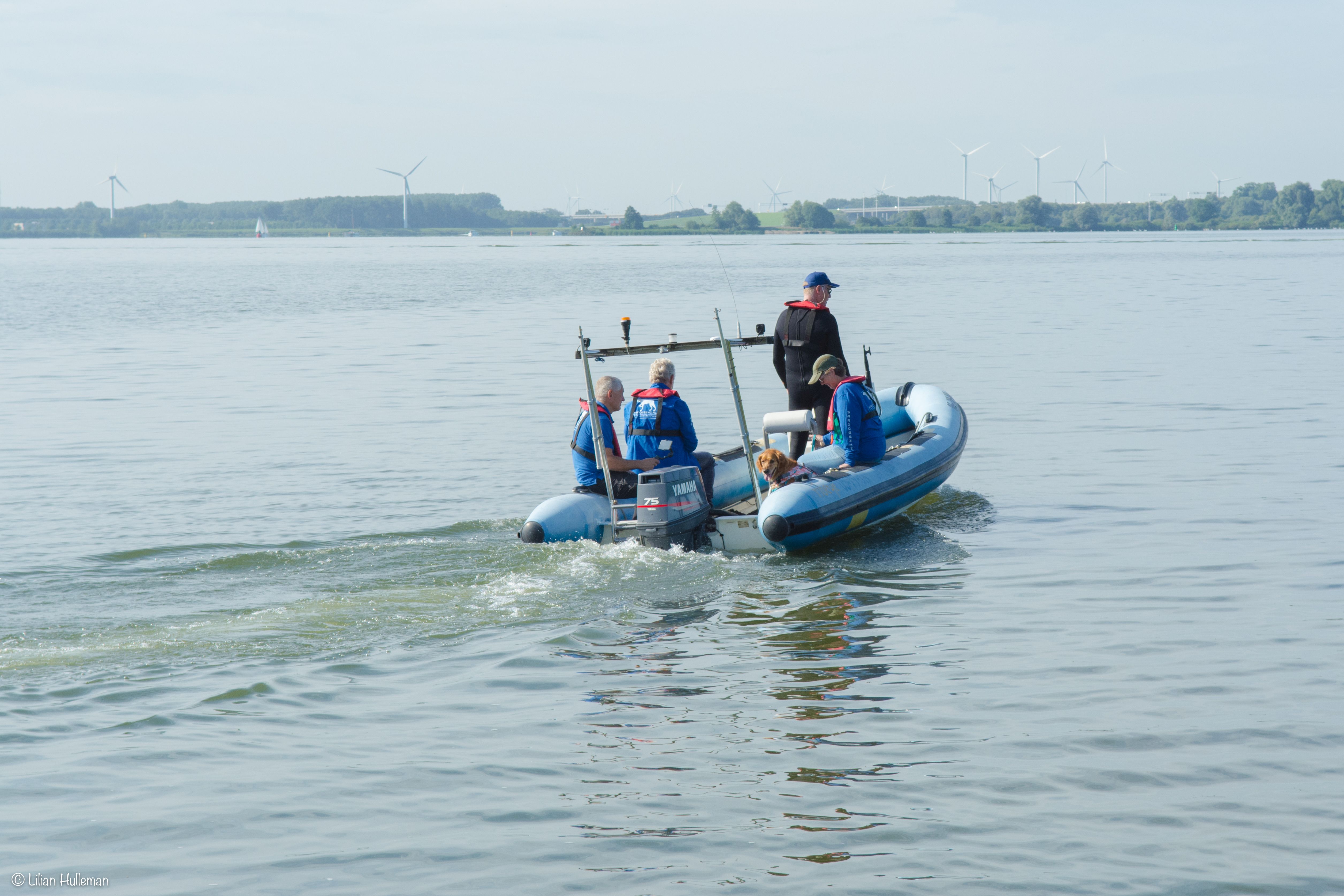 Reddingshondenteam Hoeksche Waard